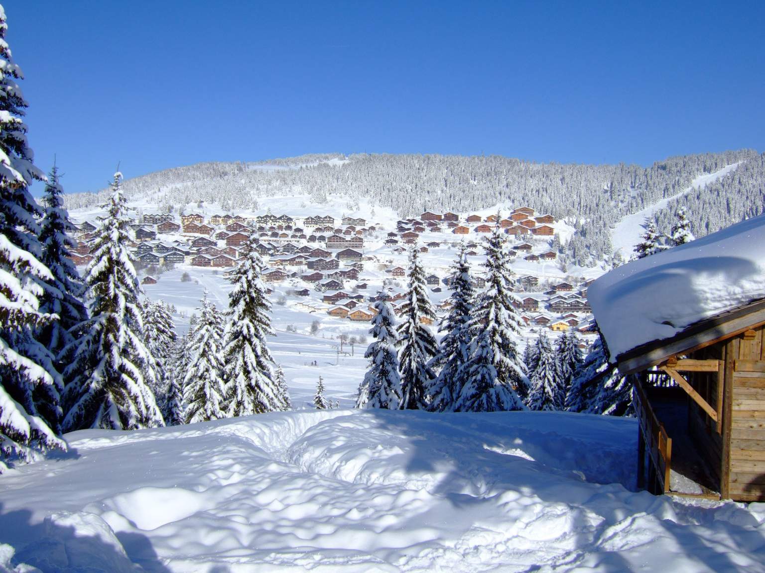 acces les saisies voiture